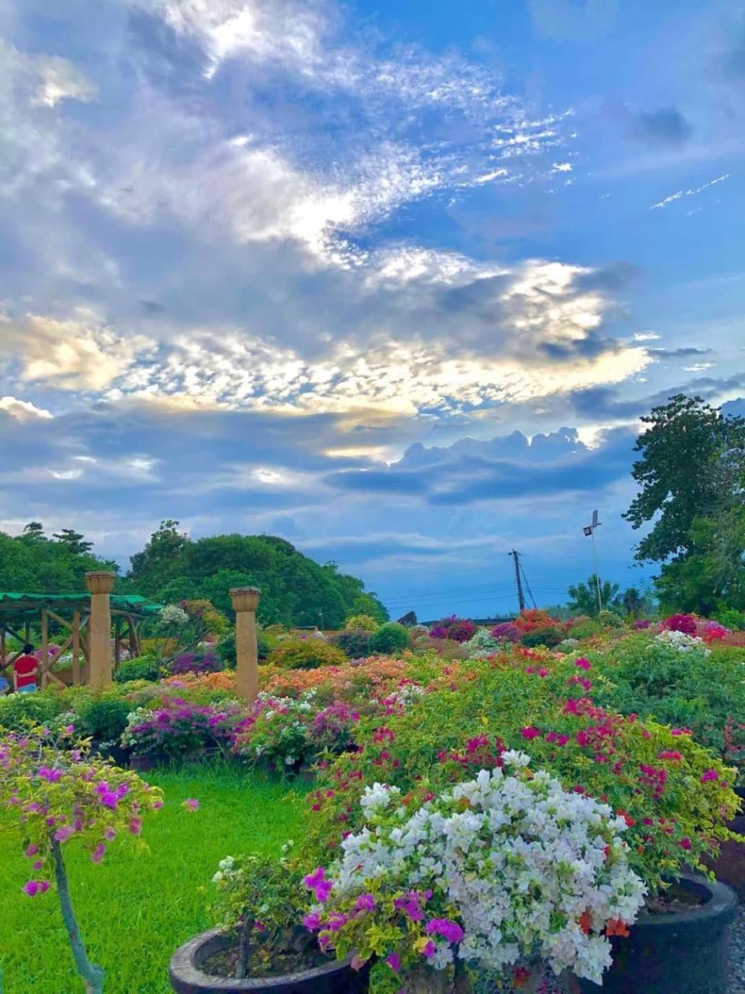 Beach Resorts Walking Distance To The Town House Davao City Exteriér fotografie